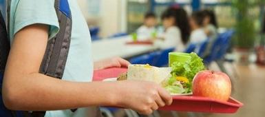 Free and Reduced Price School Meals